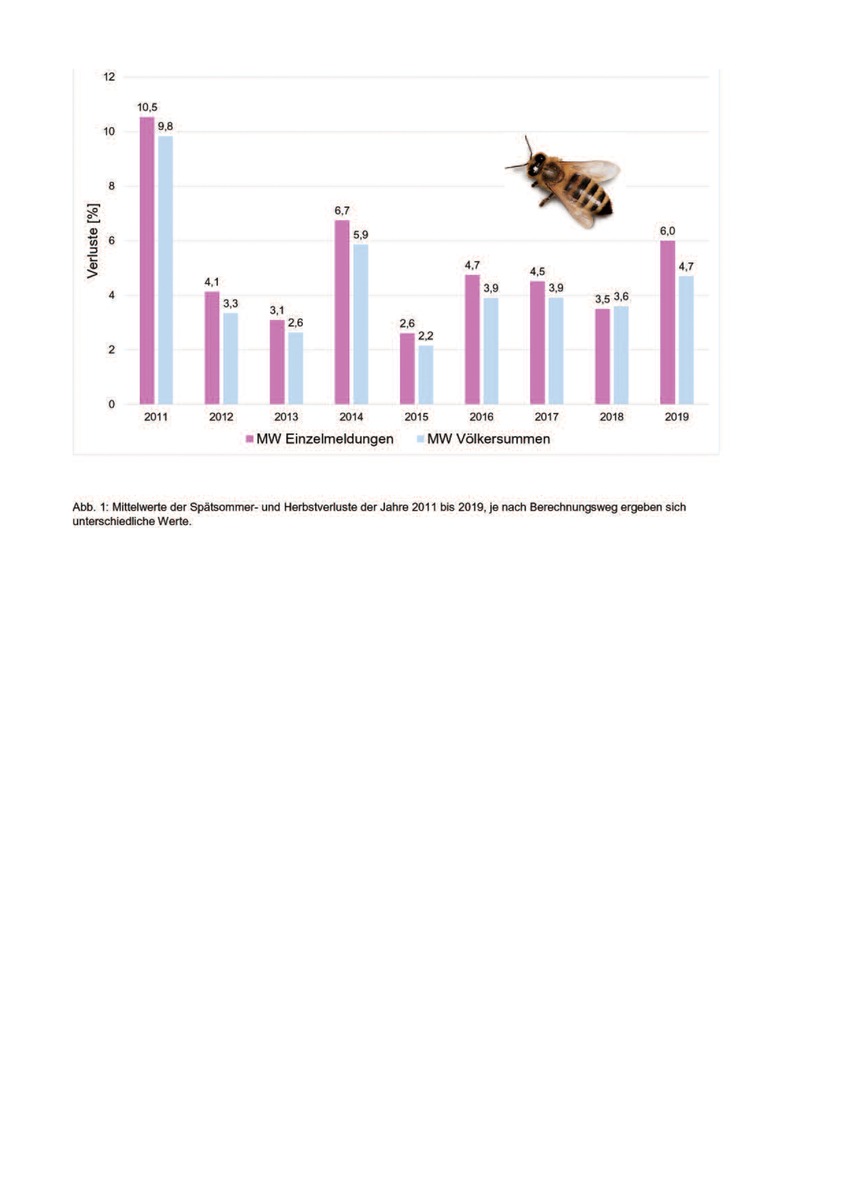 Höhere Völkerschäden bei Honigbienen im kommenden Winter zu erwarten / Bienenwissenschaftler geben erste Verlustprognose ab