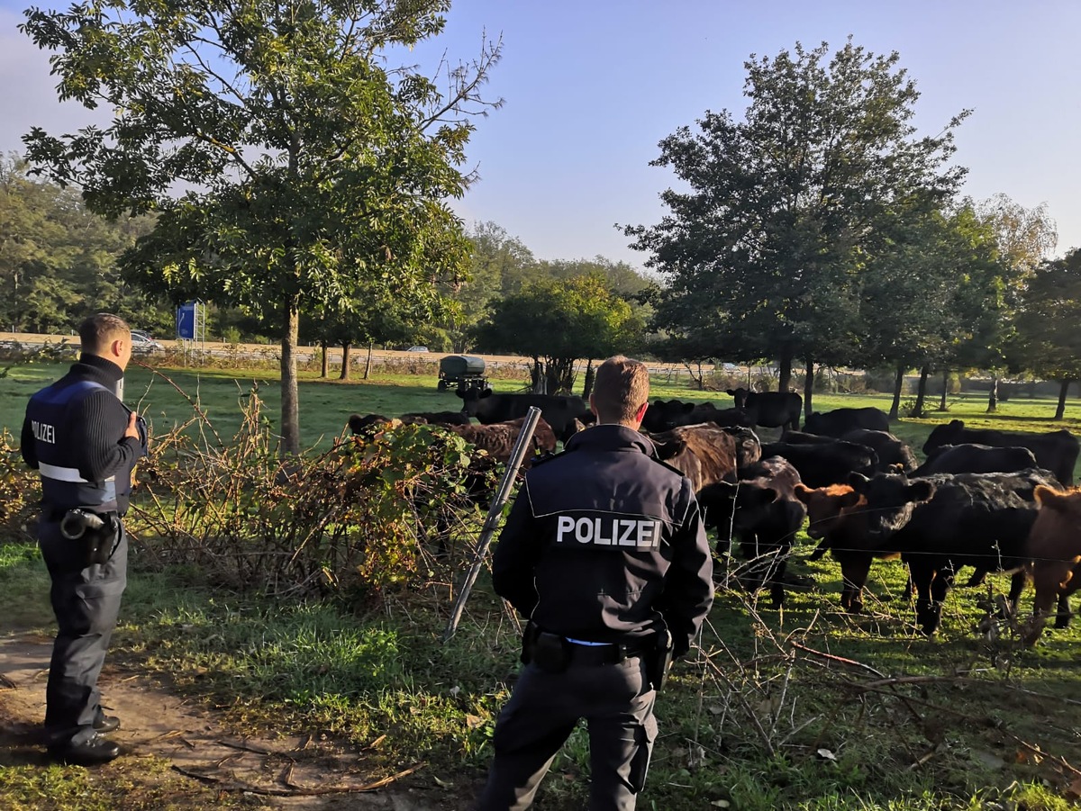 POL-PDNW: Polizeiautobahnstation Ruchheim - Polizei als Cowboys unterwegs