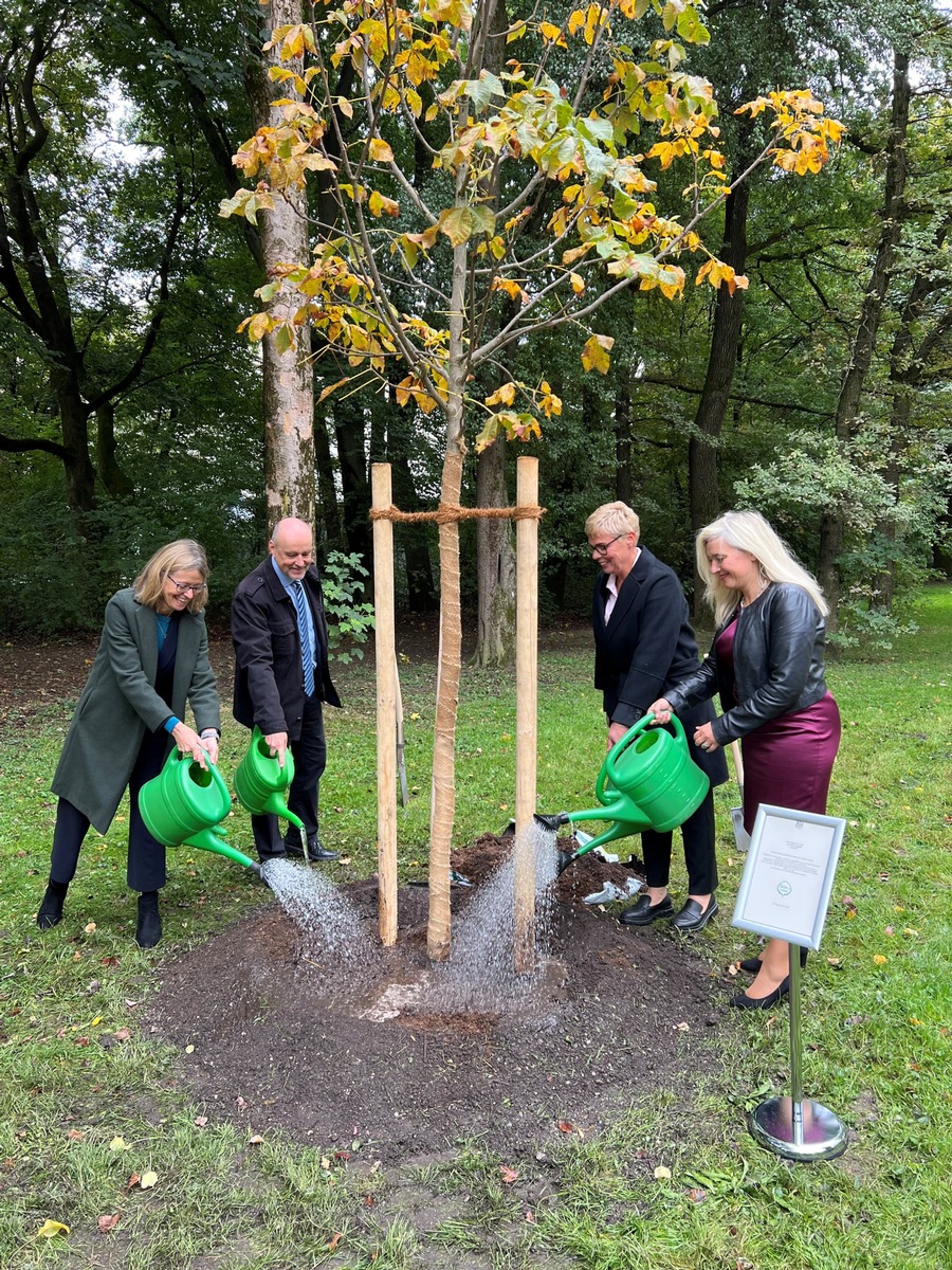 Eine Rosskastanie im Englischen Garten zum Gedenken an Königin Elizabeth II.