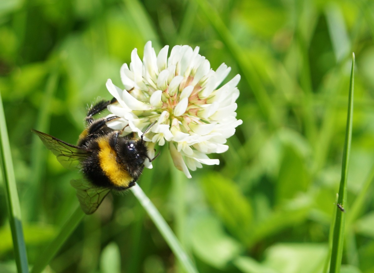 biovis agrar GmbH will Öko-Landwirten verlässlicher Partner sein