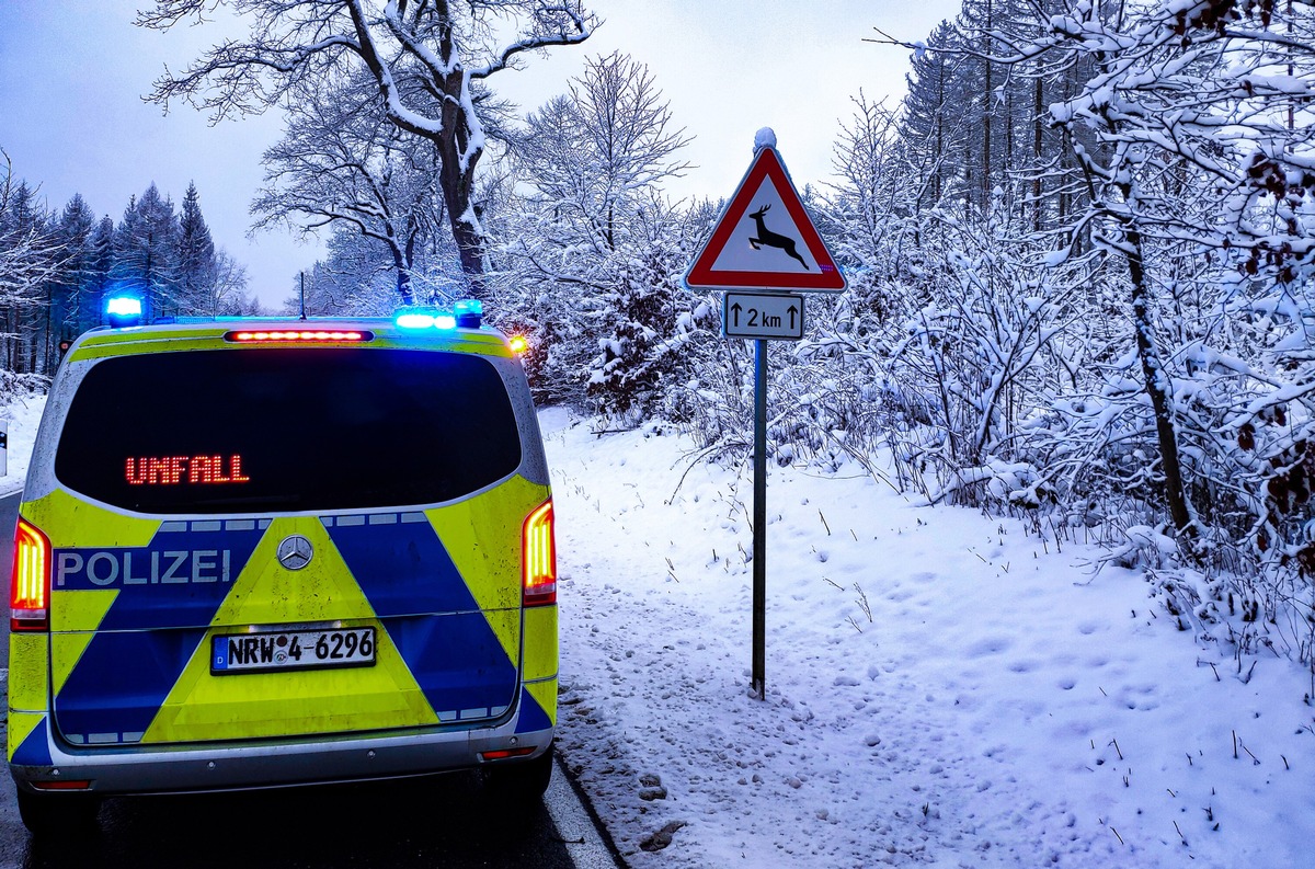 POL-PB: Bereits 32 Wildunfällen in den ersten elf Tagen des neuen Jahres - Polizei bittet um besondere Vorsicht