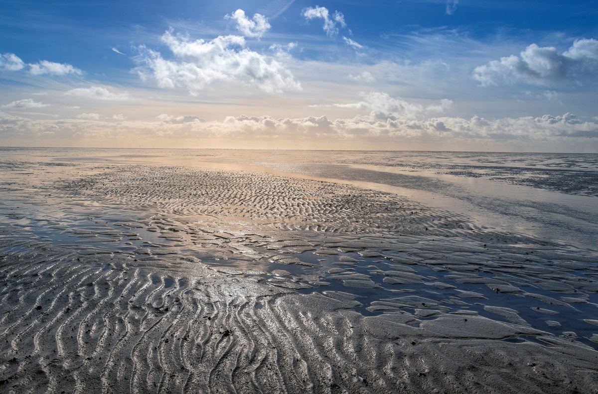 ARTE und Das Erste zeigen bildstarke, vierteilige Dokumentation über Nord- und Ostsee