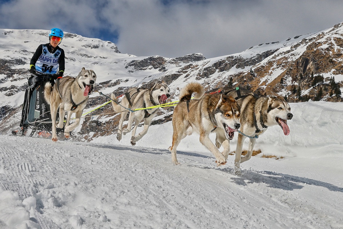 Emotionales Comeback für Mensch und Tier beim Schlittenhunde-Weltcup in Unterjoch - Erstmals seit 2018 wieder volles Programm