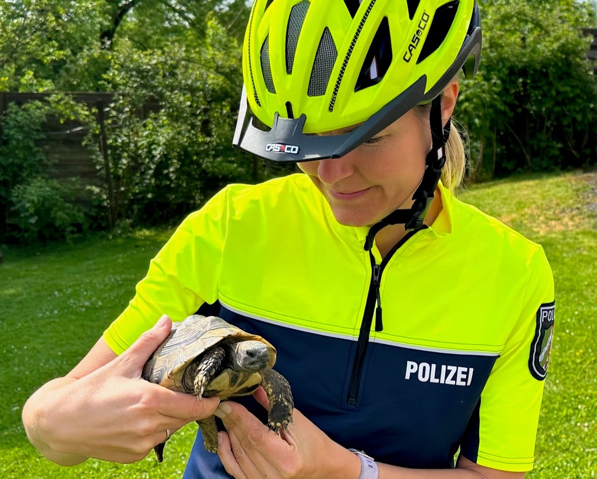 POL-LIP: Schieder-Schwalenberg. Abenteuerlustige Schildkröte am Schiedersee aufgegriffen.