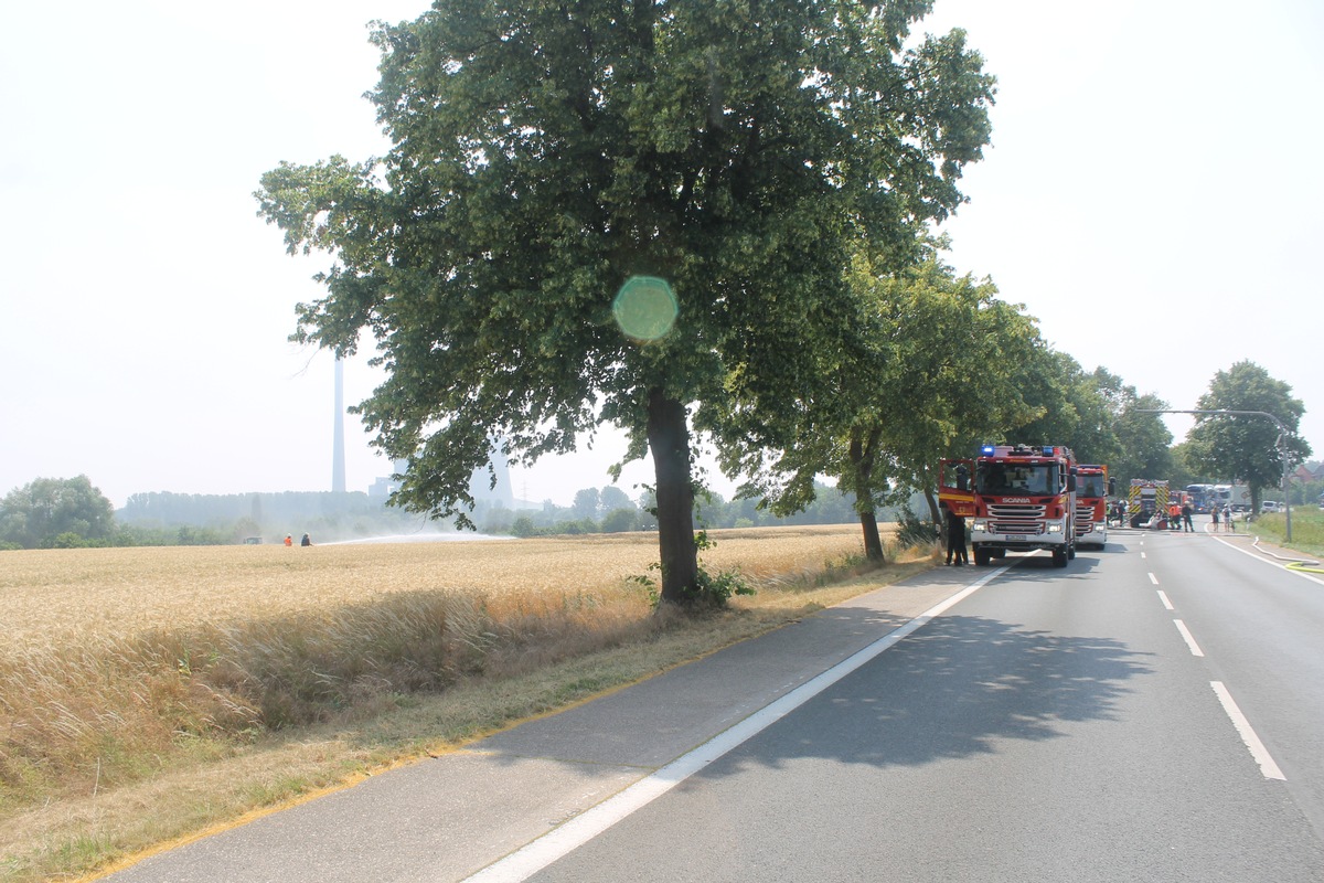 FW-WRN: FEUER_2 - unklare Rauchentwicklung aus Feld