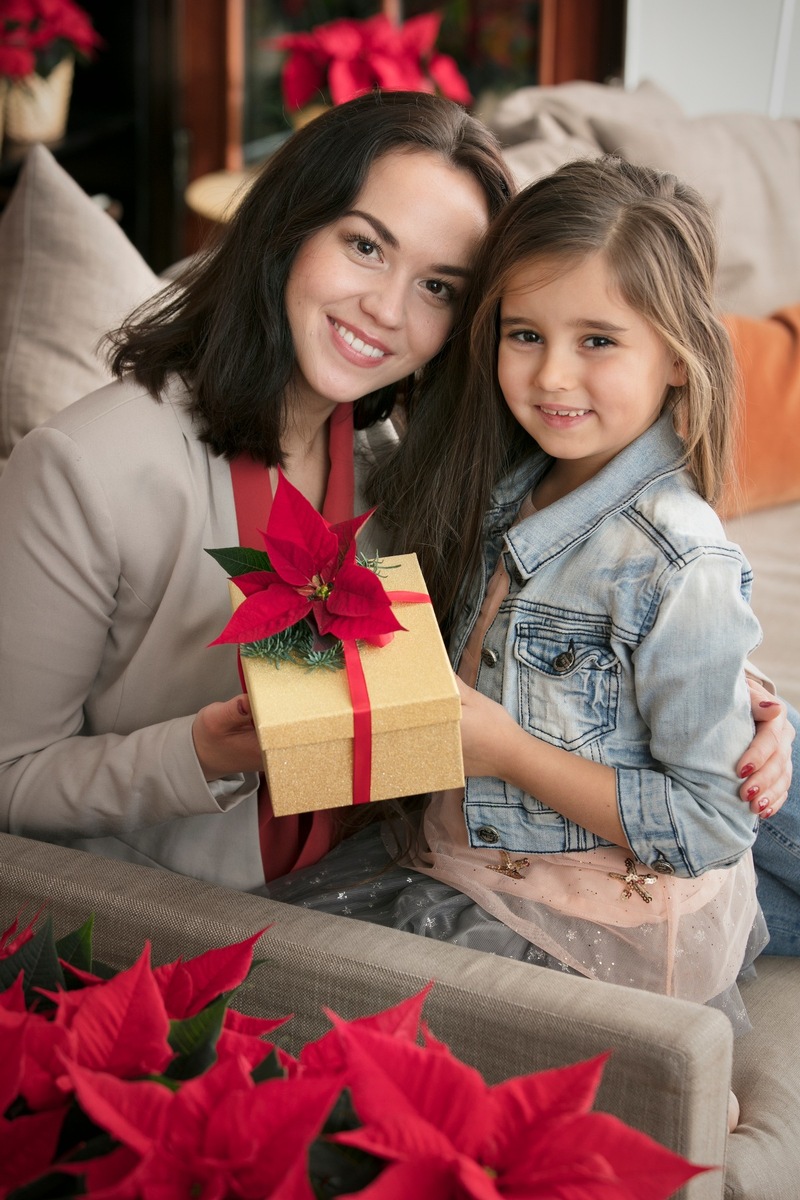 Weihnachtssterne &quot;to go&quot;: Schnelle Geschenkideen mit dem Weihnachtsstern