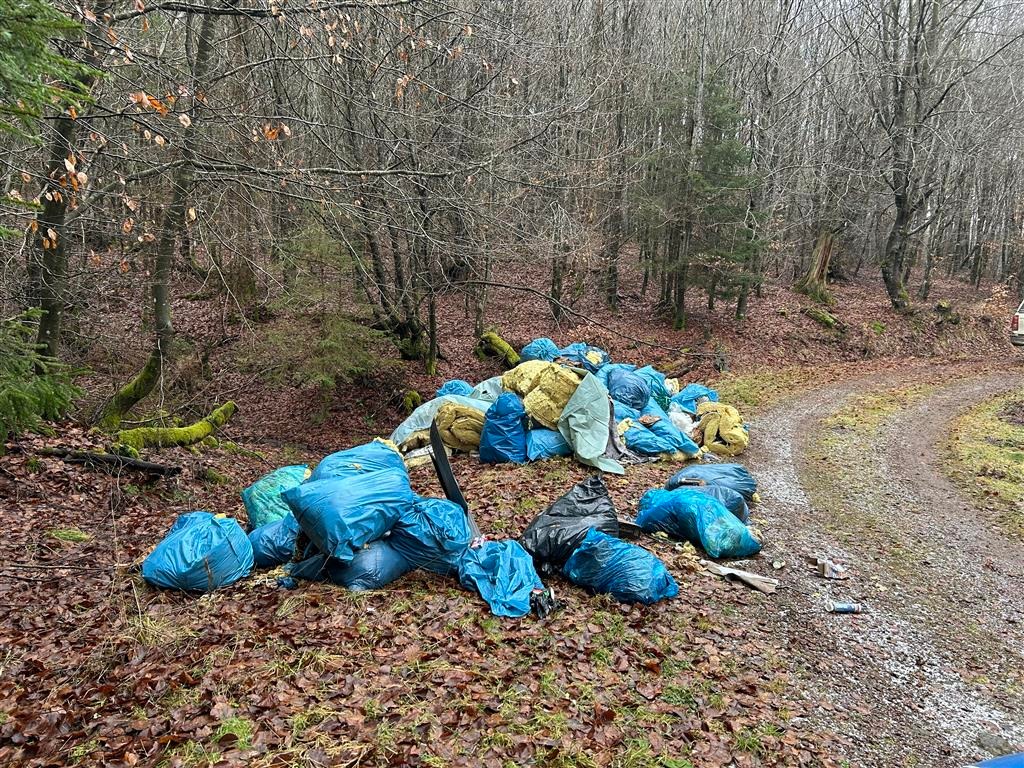 POL-PDWIL: Umweltgefährdende Abfallbeseitigung im Wald