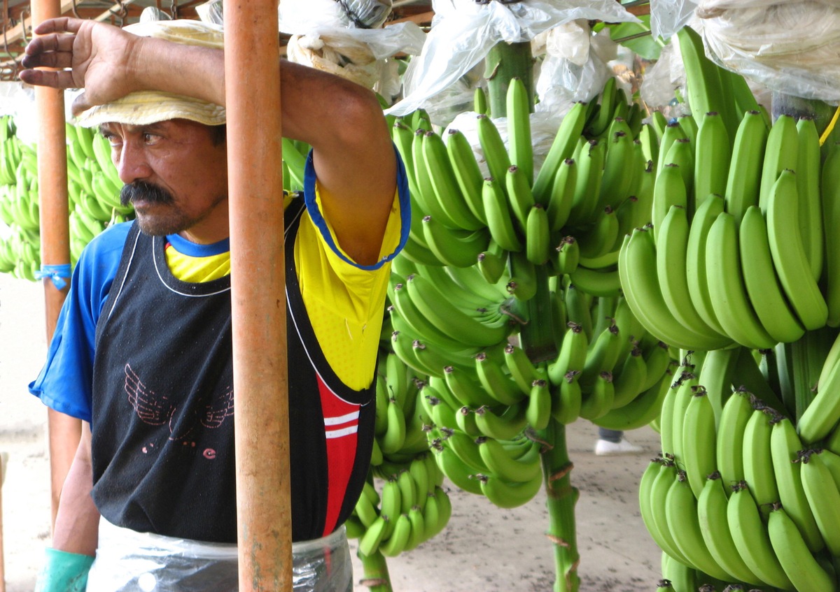 claro fair trade AG: Martin Dahinden und Georges Wenger jurieren Fotowettbewerb zum Fairen Handel