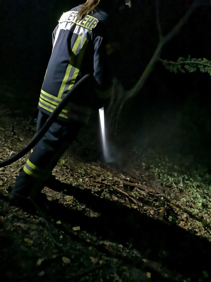 FW-DT: Feuer im Wald