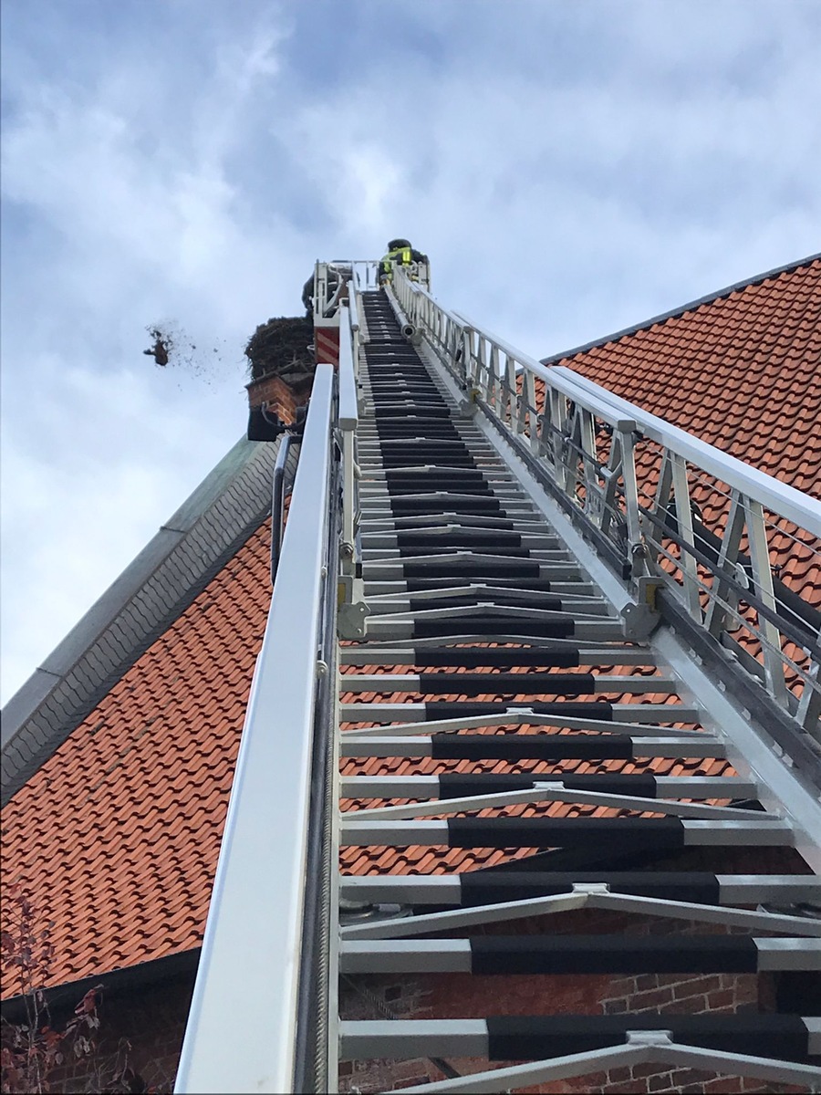 FW Celle: Nestrückbau in Wienhausen