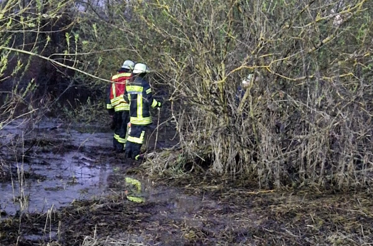 FW Lüchow-Dannenberg: Dreibeiniger Hund jagt Ente +++ verheddert sich im Uferbereich der Jeetzel im Gestrüpp +++ Feuerwehr rettet Hund