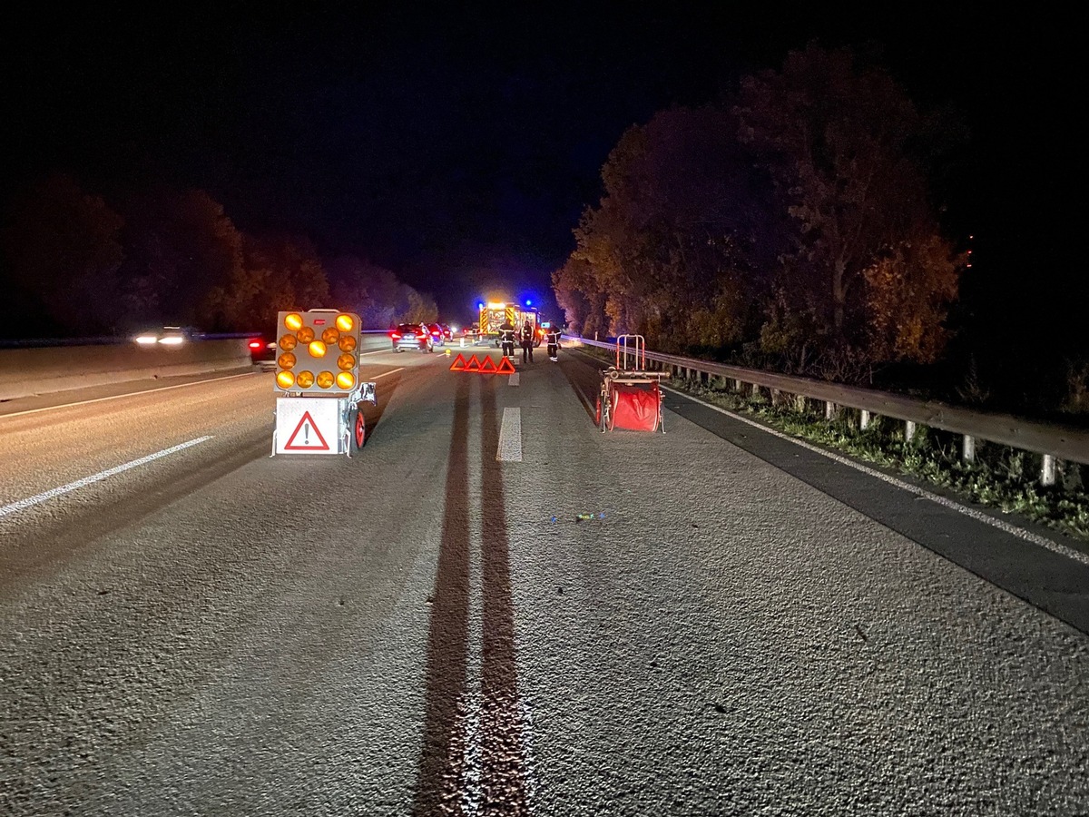 POL-VDMZ: BAB61 - Fohlen springt auf Fahrbahn