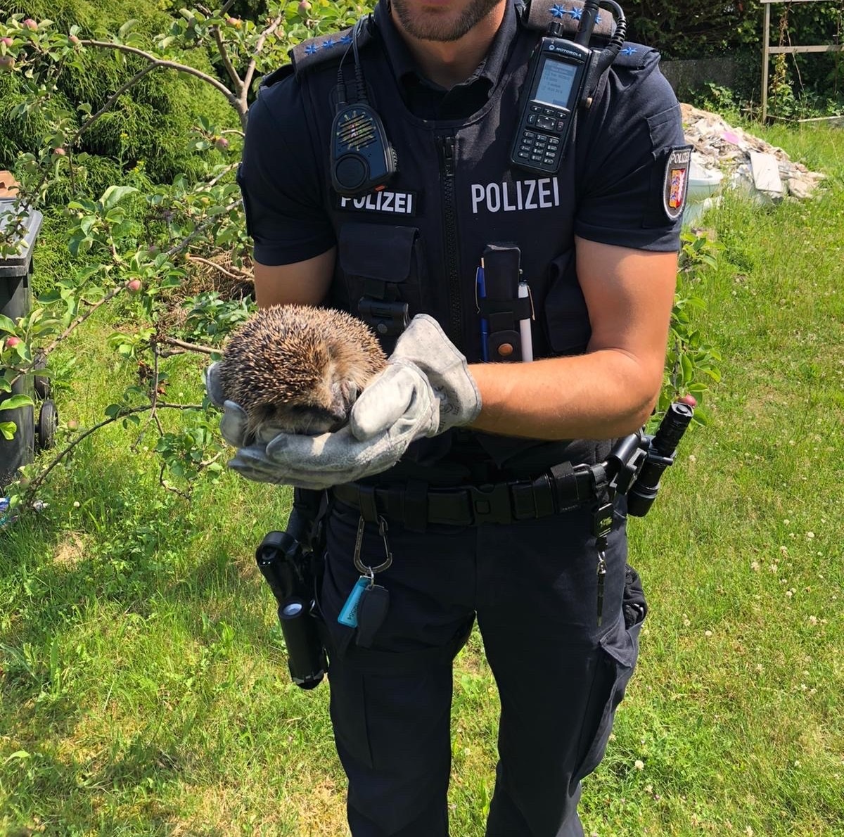 POL-HL: HL-Schlutup / Die Igelretter - ein Freund und Helfer-Einsatz