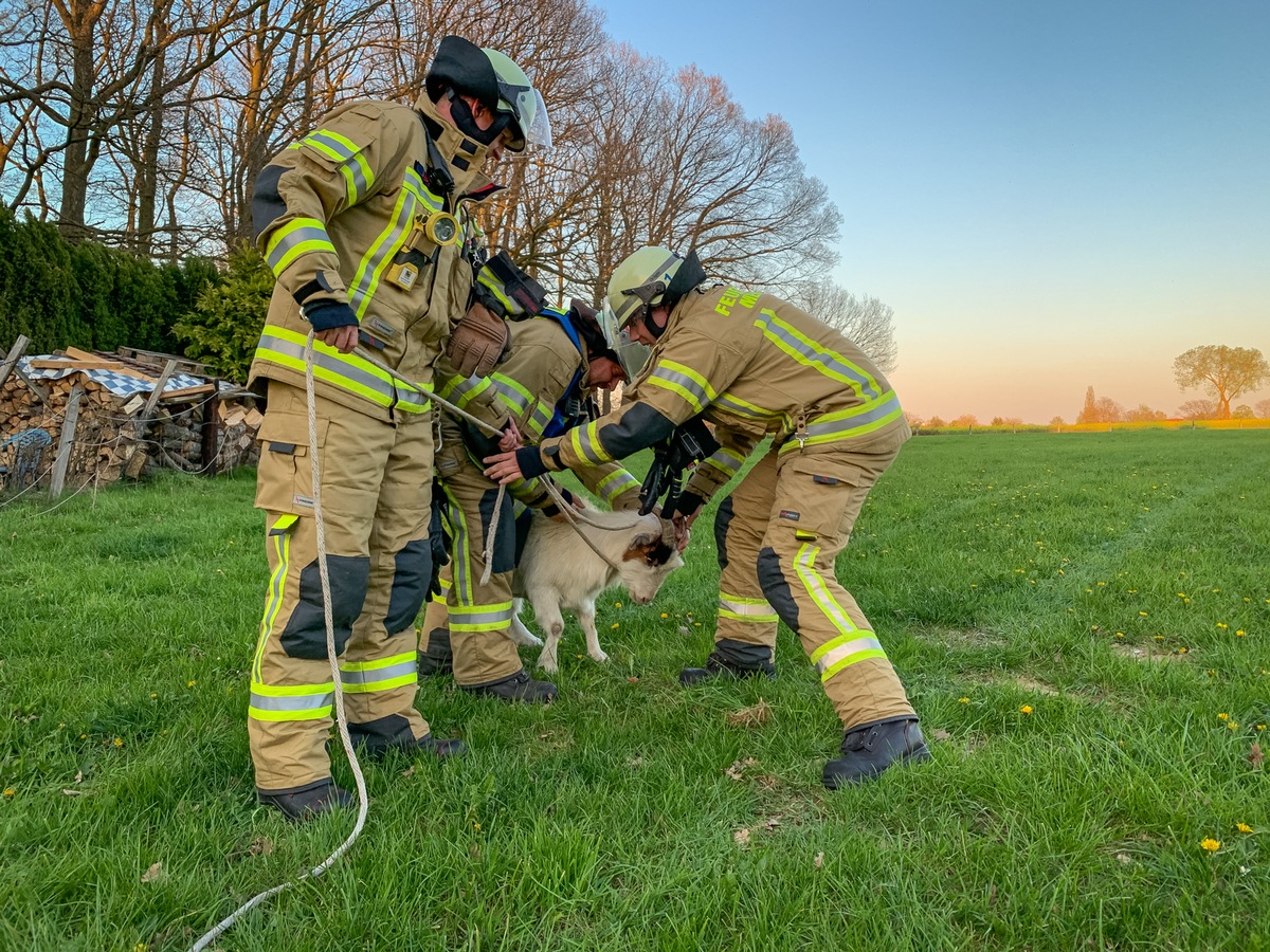 FW Menden: Waldbrand in Ostsümmern