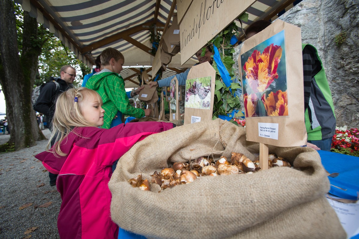 Rare, alte und besondere Tulpensorten / Schloss Wildegg lädt am 27./28. September zum grossen Tulpenzwiebelmarkt mit GeNUSS (BILD)