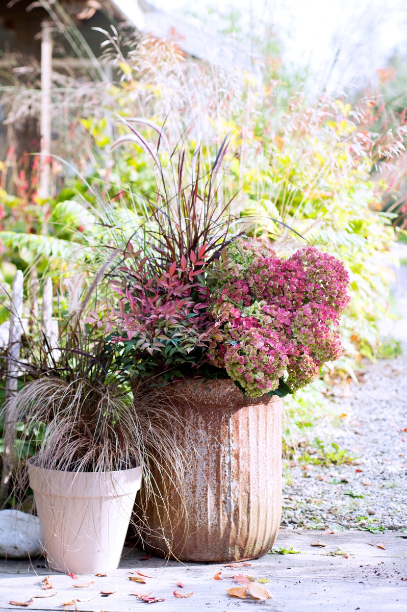 Kreativer Garten im Winter / Trending in the Garden - Draußen in der kalten Jahreszeit