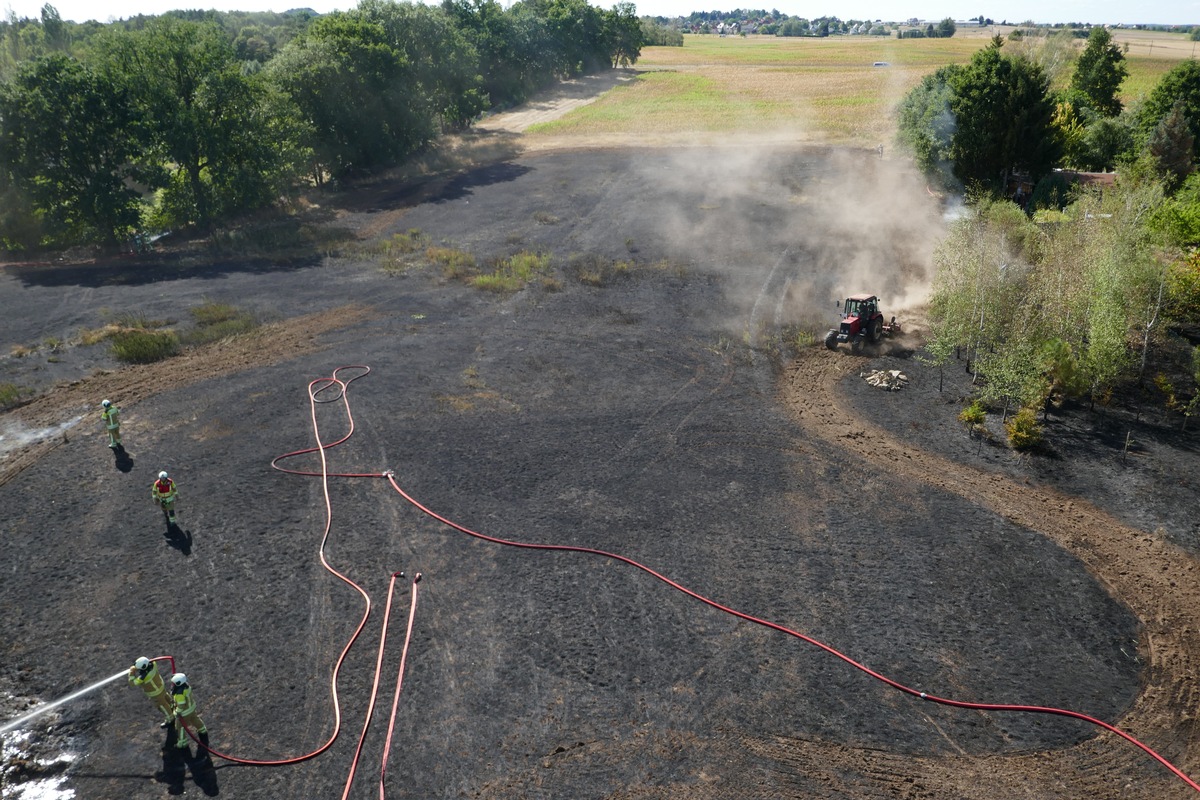 FW Dresden: Feldbrand auf großer Fläche