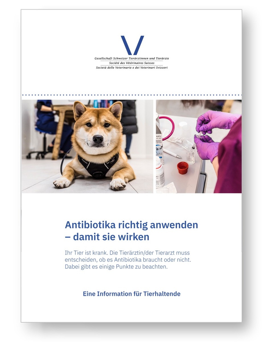 Flyer für Tierhaltende: «Antibiotika richtig anwenden»