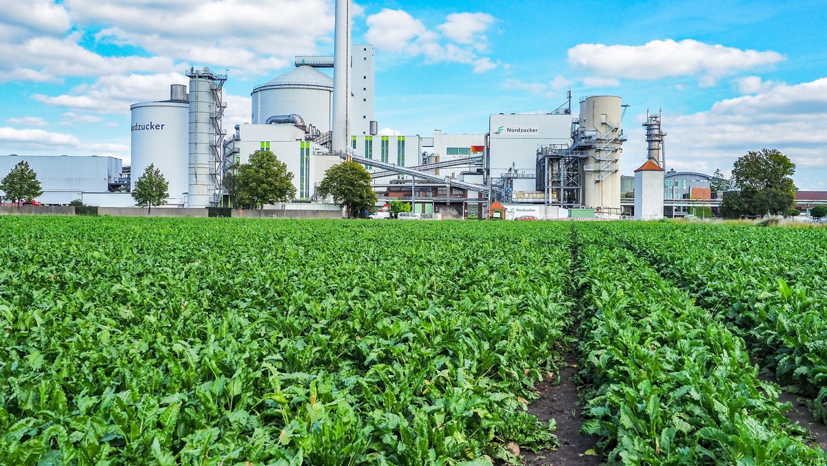 Ziele zur Verringerung der Treibhausgas-Emissionen von Nordzucker durch Science Based Targets initiative bestätigt