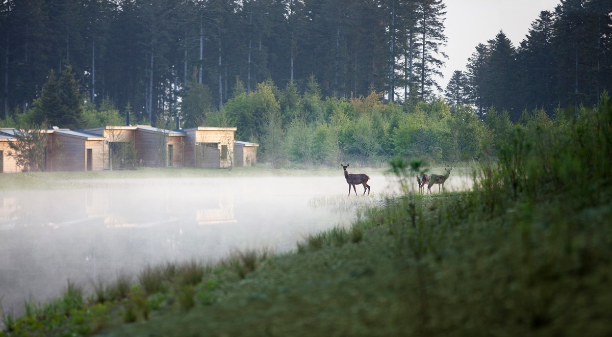 Center Parcs-Ferienanlage mit besten Ökowerten