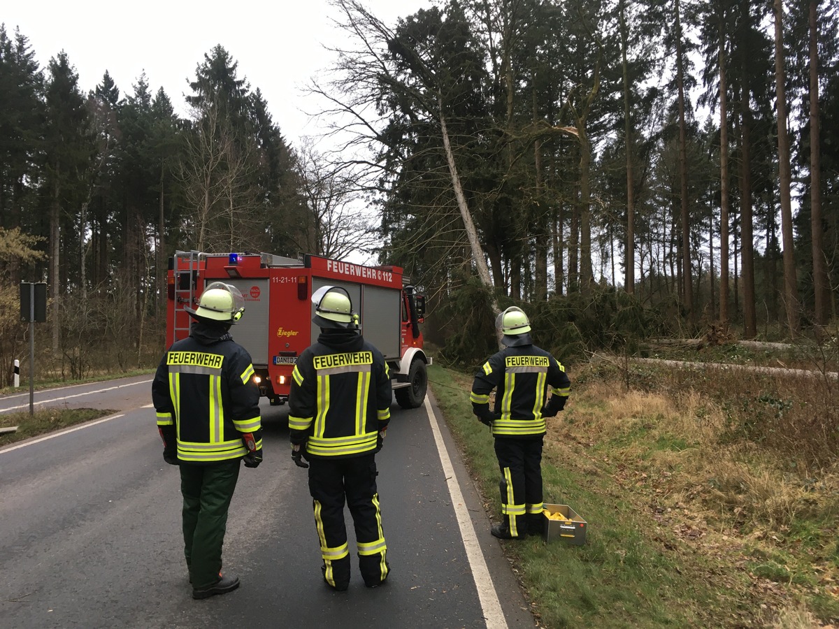 FW Lüchow-Dannenberg: Sturmtief &quot;Nadia&quot; verschont auch Lüchow-Dannenberg nicht