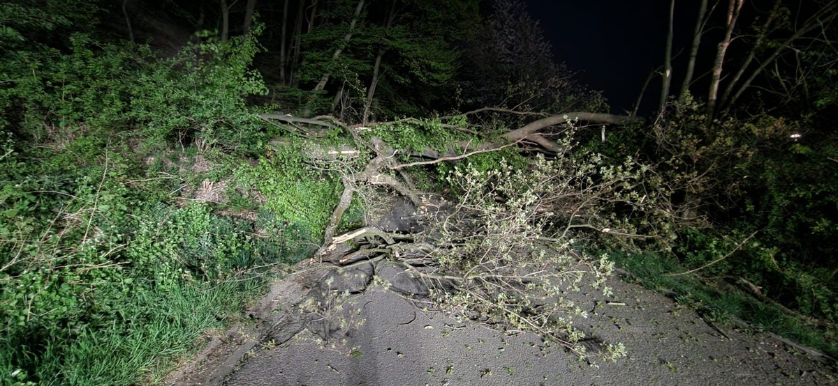 FW-EN: Mehrere Bäume versperren Straße