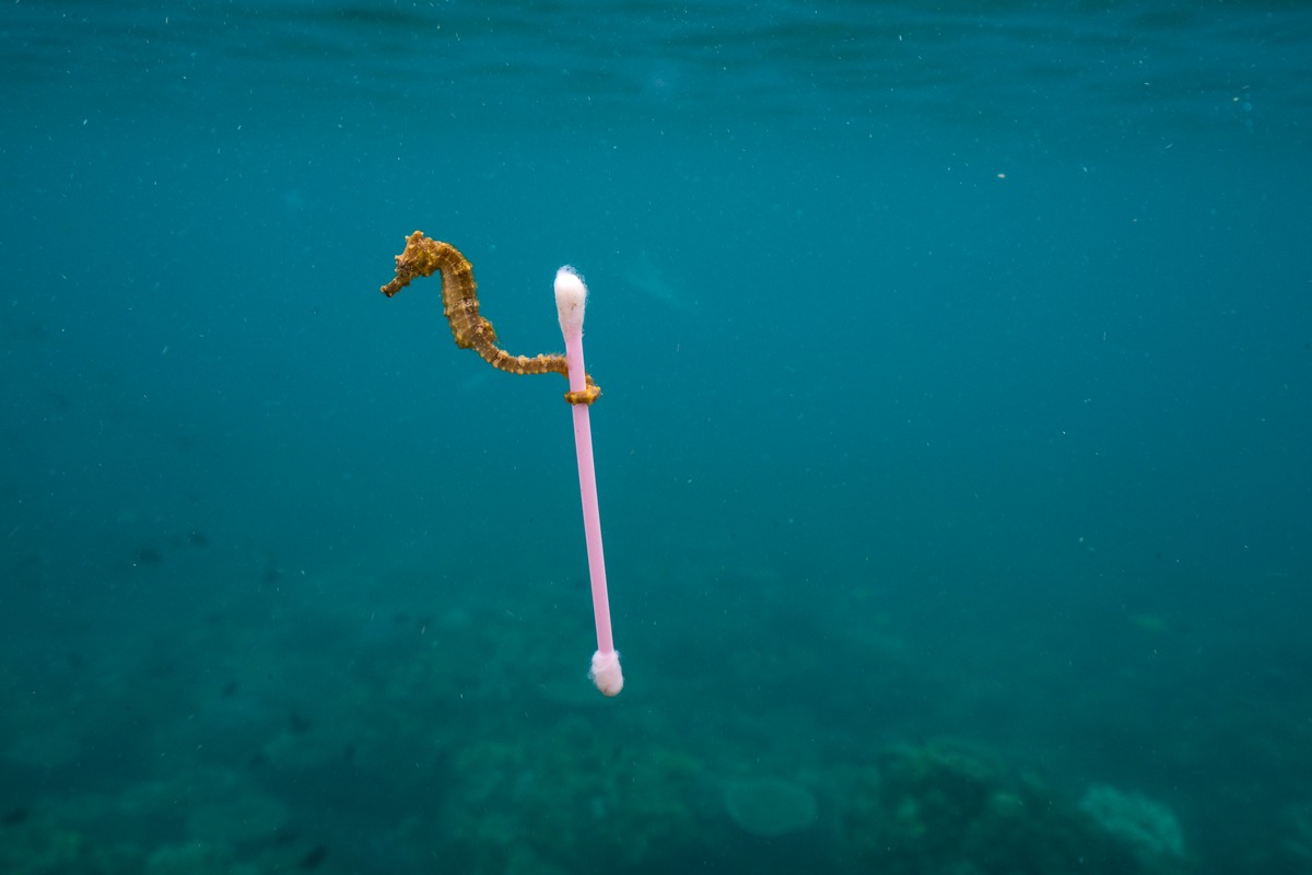 Deutschlandpremiere: National Geographic-Ausstellung &quot;Planet or Plastic?&quot; will Bewusstsein für das Problem Plastikmüll stärken / Ab 30. April vier Monate lang in Oldenburg zu sehen