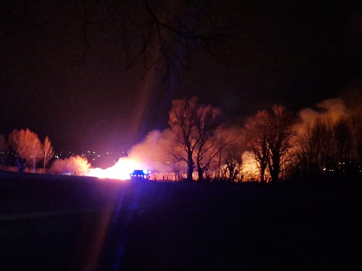 FW Reichenau: Schilfbrand an zwei Stellen gelöscht, Reichenau-Mittelzell/Niederzell, 07.03.2023