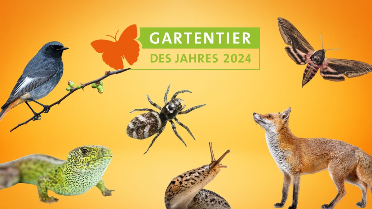 Gartentier des Jahres 2024: Nur noch wenige Tage, um abzustimmen!