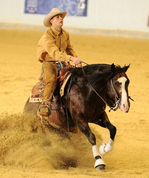 HIPPOLOGICA bringt Cowboys nach Berlin: Westernreiten in allen Facetten unterm Funkturm (BILD)