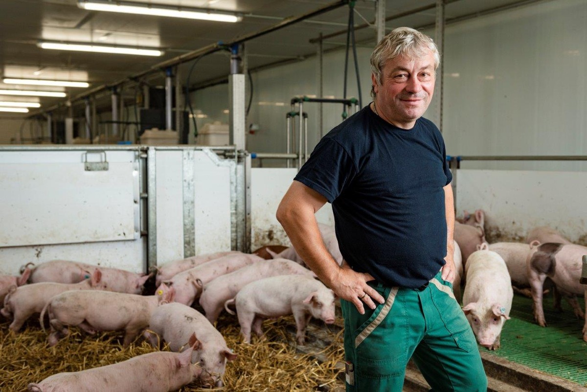 Torsten Roder aus Behren-Lübchin ist Deutschlands bester Schweinehalter