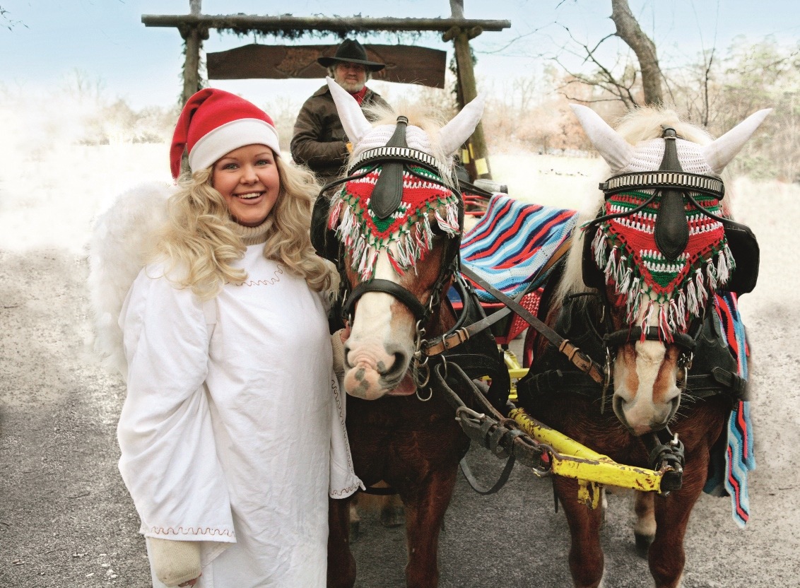 Zur Tierweihnacht nach Tripsdrill