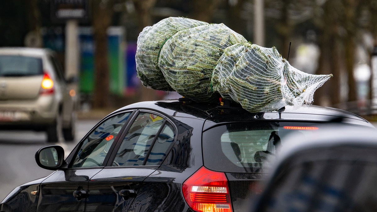 Sicher unterwegs: So transportieren Sie Ihren Weihnachtsbaum richtig