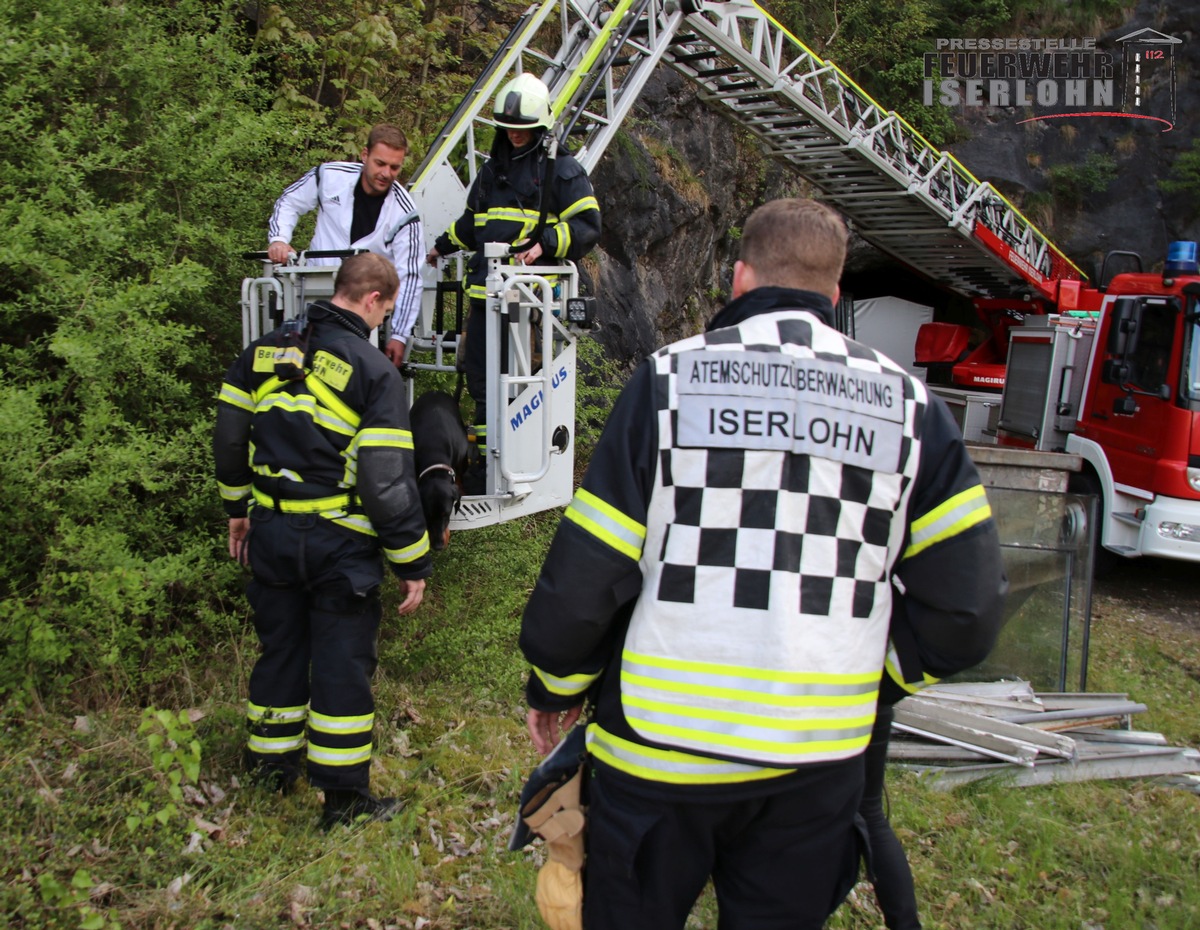 FW-MK: Hund aus Steinwand gerettet