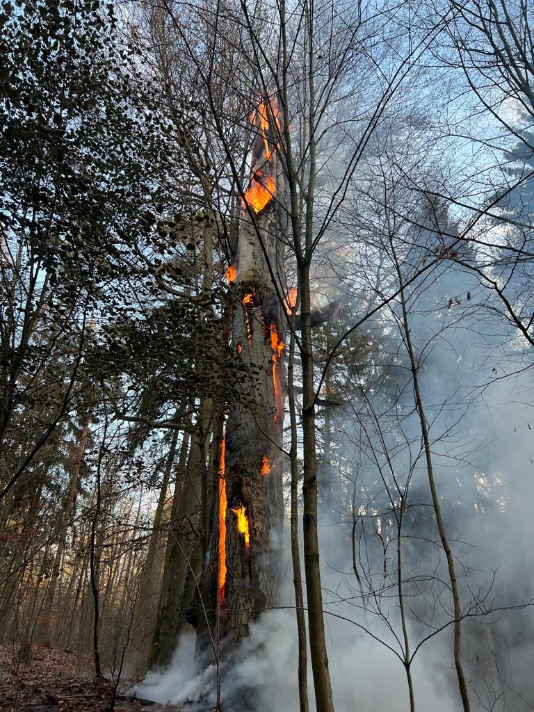 FW Dresden: Informationen zum Einsatzgeschehen der Feuerwehr Dresden vom 30. November 2022