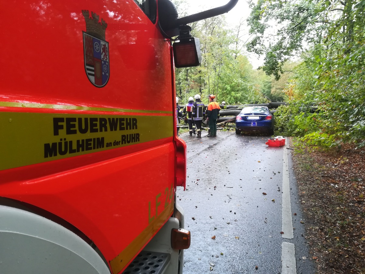 FW-MH: Baum fällt auf Fahrschul-Pkw