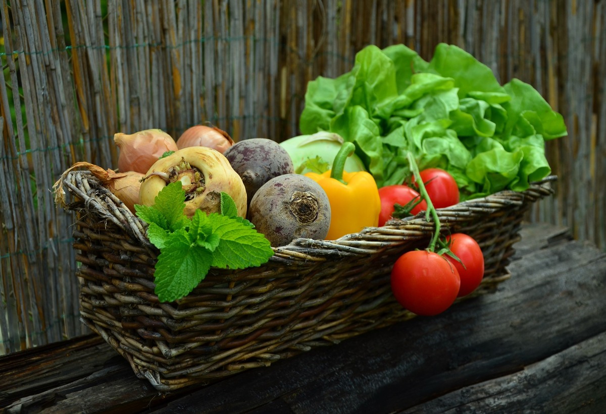 ++ Ökotipp: Umweltbewusste und klimaschonende Ernährung ++