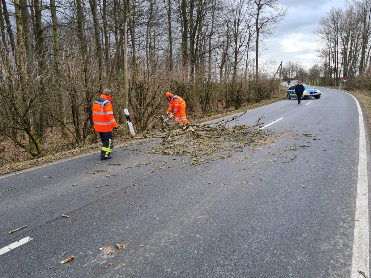 FW Horn-Bad Meinberg: Vier Einsätze innerhalb 90 Minuten