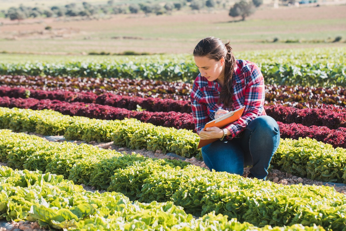 Kaufland startet wissenschaftliches Boden- und Biodiversitätsprojekt mit Leibniz-Institut