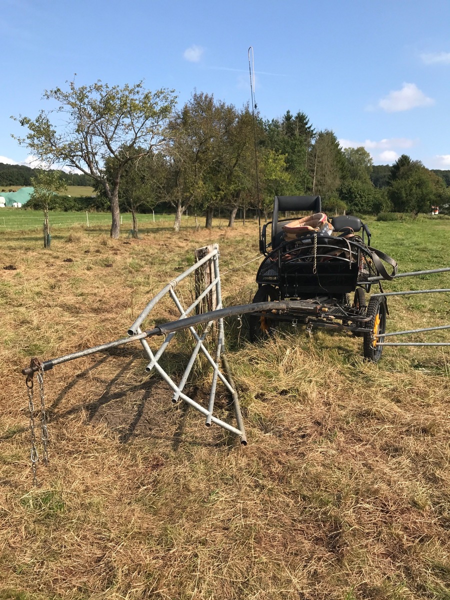 POL-PPWP: Verletzte nach Kutschfahrt