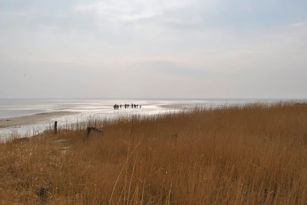 Wandern auf dem Meeresboden