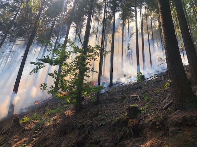 POL-PDPS: Waldbrand