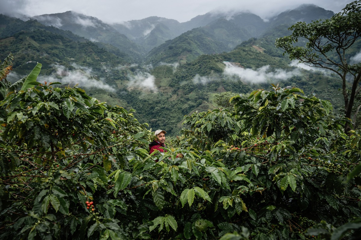 2,6 Mrd. Euro Umsatz mit Fairtrade-Produkten / Fairtrade Deutschland veröffentlicht Jahresbericht 2023/2024