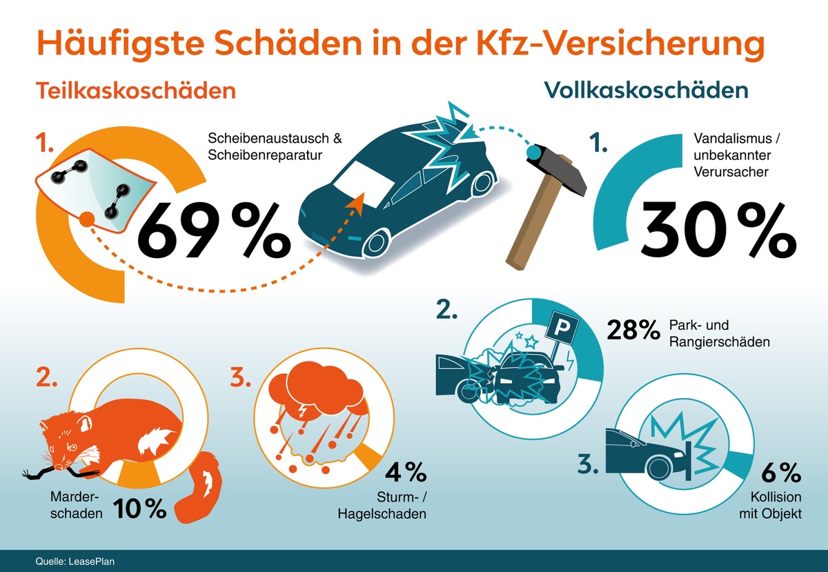 Die häufigsten Schäden in der Kfz-Versicherung: Achtung, Marder unterwegs