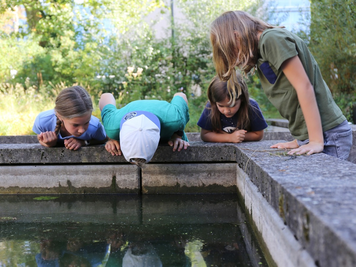 «Familiensommer 2024» im Naturama