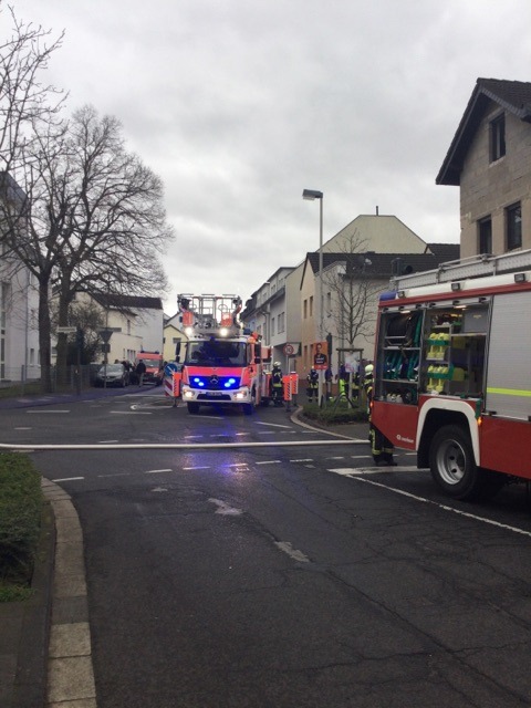 FW-BN: Zimmerbrand in Bonn-Ippendorf - Feuerwehr rettet zwei Hunde