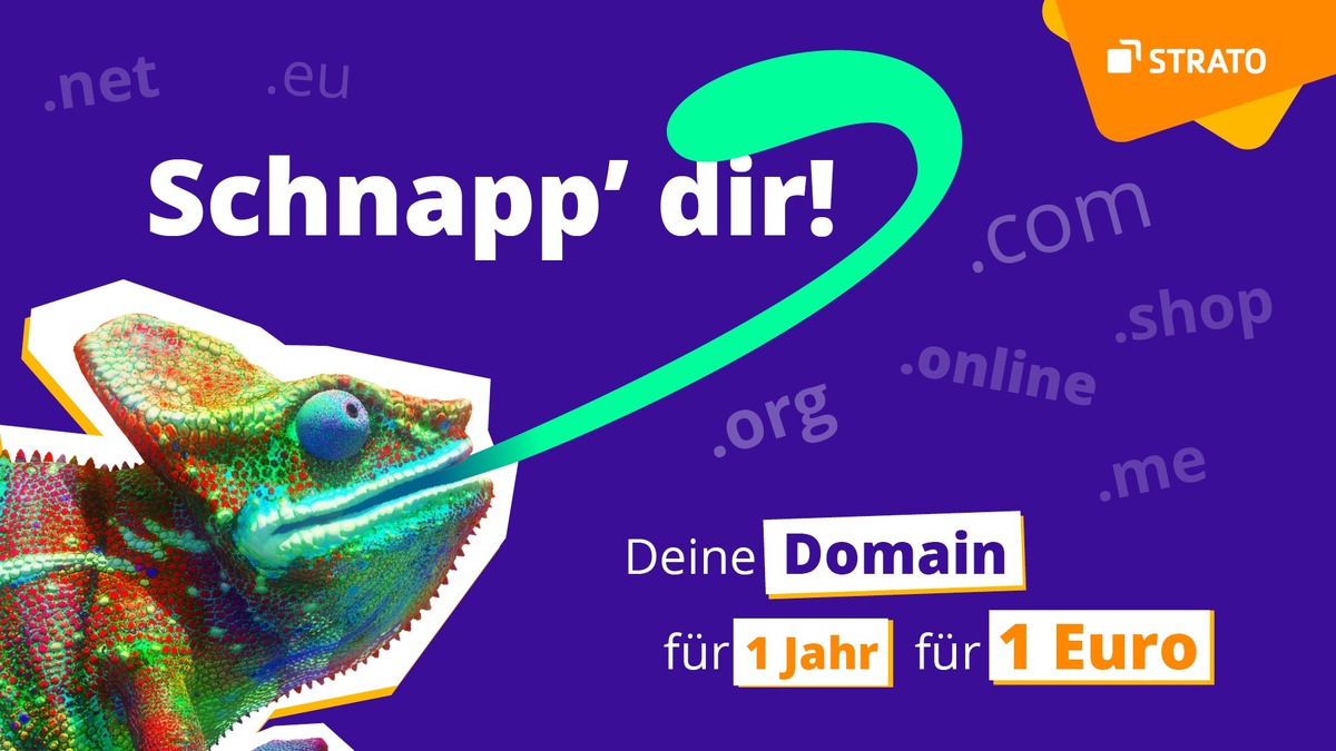 Von .blog über .shop bis .tech: STRATO hat die 15 beliebtesten Domain-Endungen im ersten Jahr für 1 €