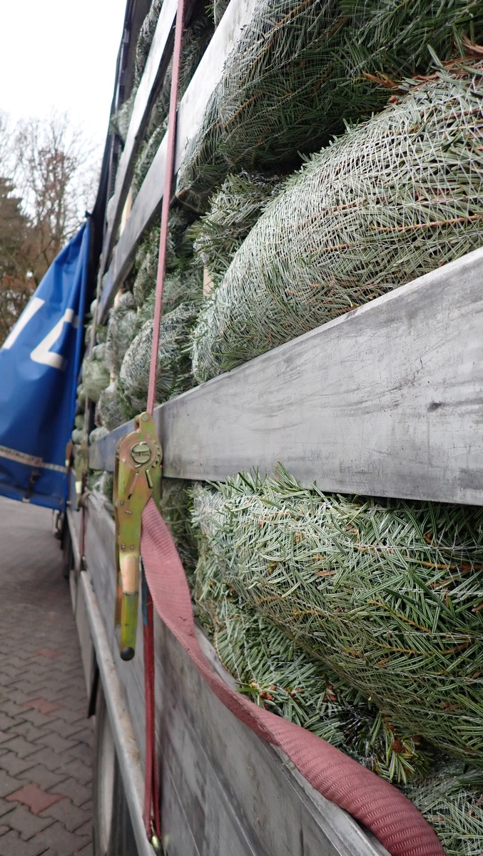 POL-WE: Aufmerksamer Zeuge klärt Unfallflucht in Friedberg + Zusammenstoß zwischen Rollstuhlfahrer und PKW + LKW-Kontrolle auf der A5 - Weihnachtsbäume wieder auf dem Weg + u.a.