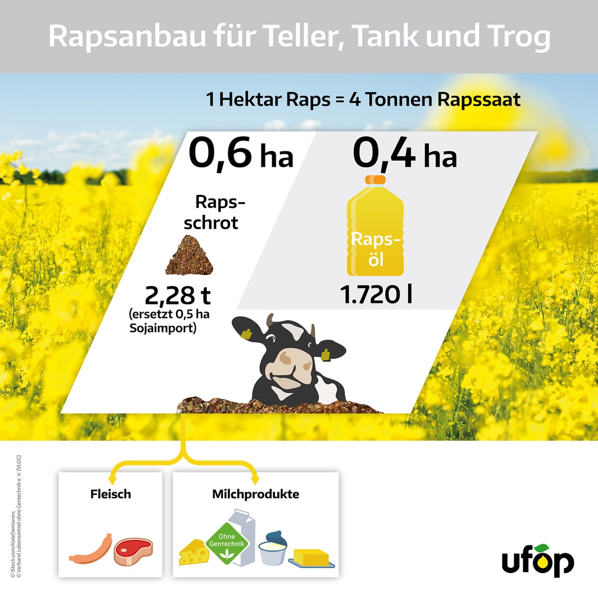 Biokraftstoffe: Nachhaltige Flächennutzung statt Flächenverbrauch