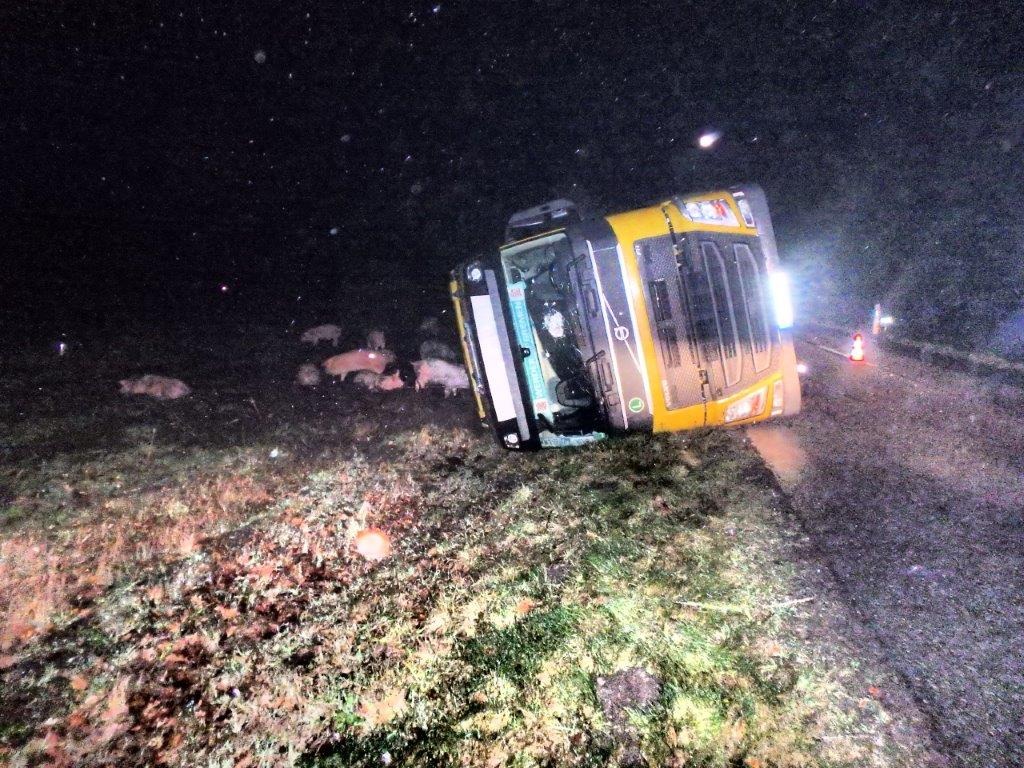 POL-ROW: ++ Viehtransport verunglückt und kippt um - Viele Schweine verenden an der Unfallstelle ++ Einbrecher stehlen Küchengerät ++ Unfallflucht beim E-Center - Polizei sucht Zeugen ++